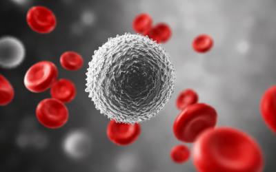 Spotting the Signs of Blood Cancer and Seeking the Right Care